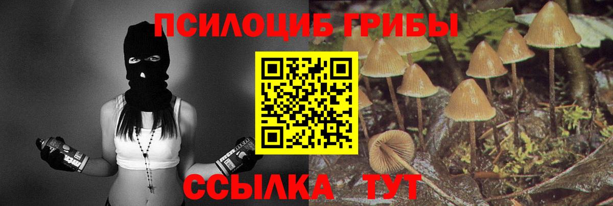 Санкт-Петербург  Галлюциногенные грибы ЛСД  Вход с VPN 